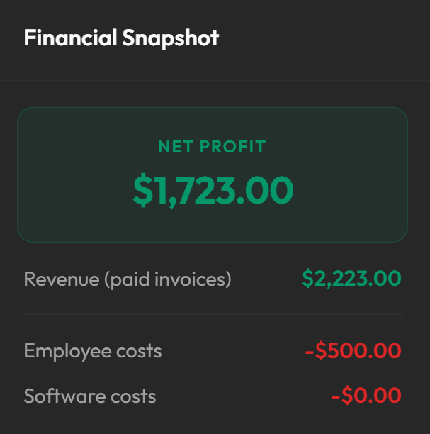 Agencify financial snapshot showing net profit, revenue, and costs
